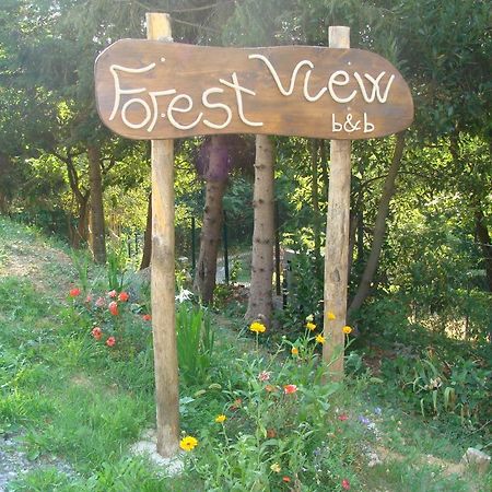 Forest View B&B Ґаві Екстер'єр фото