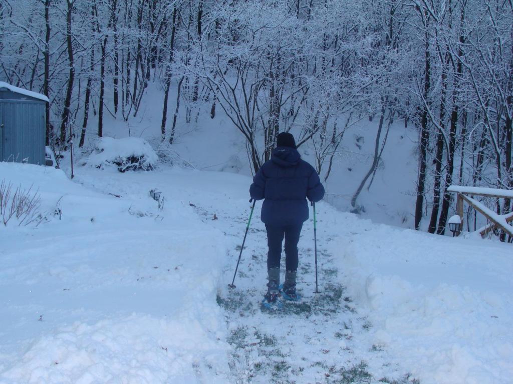 Forest View B&B Ґаві Екстер'єр фото